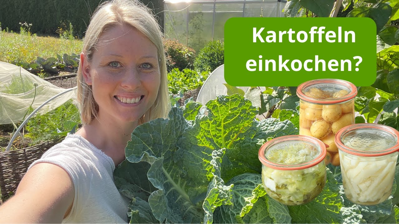 Ich ernte richtig viel Gemüse in meinem Garten / Kartoffeln, Wirsing, Kohlrabi einkochen / Vorrat