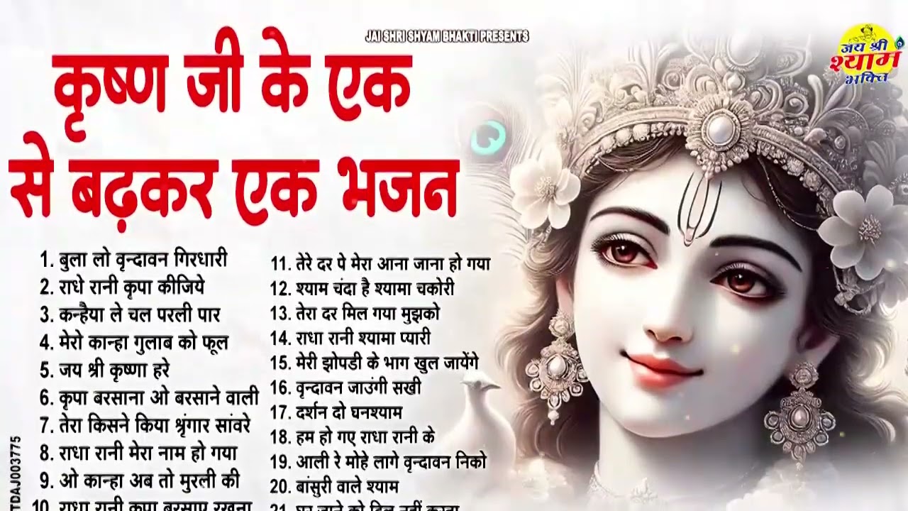 चाँद से भी सुन्दर है राधा कृष्णा जी का ये भजन | Krishna Ji Ke Bhajan | Radha Krishna Bhajan | BHajan