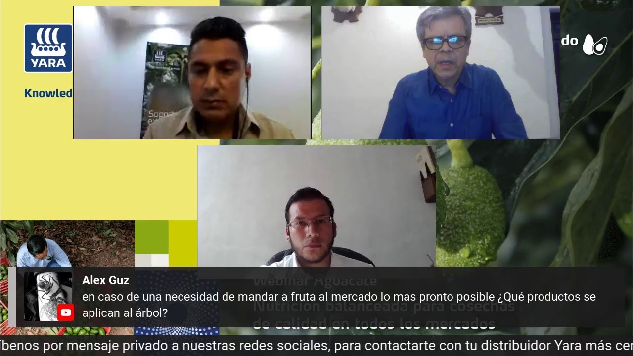 MX- Webinar de Aguacate 08 de Junio 2021