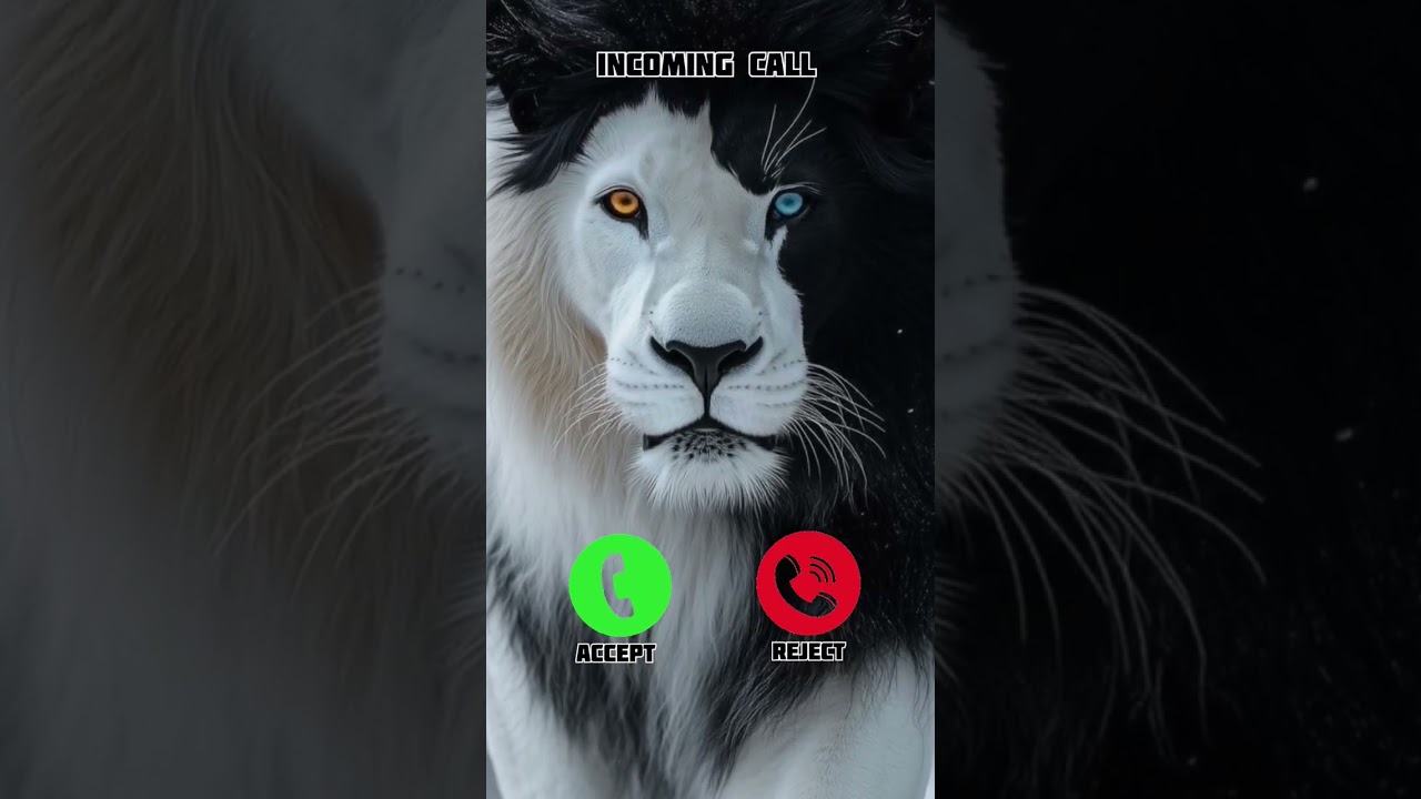 Best OPPO Mobile ringtone 🤙😎 #smartphone #ringtone #phonecall #ringtones #tech #video #audio