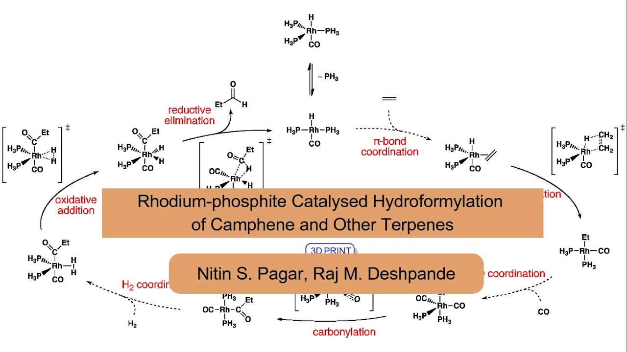 Rhodium-phosphite Catalysed Hydroformylation of Camphene and Other Terpenes