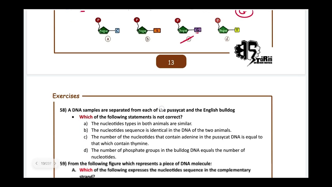 Ch 5: H.W correction: Section A (Lecture 2)