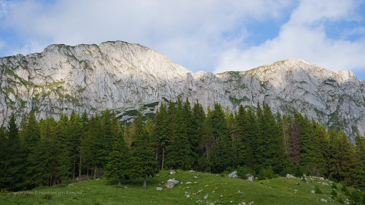 Hiking in Gutanu Glade (Moieciu de sus - Romania)