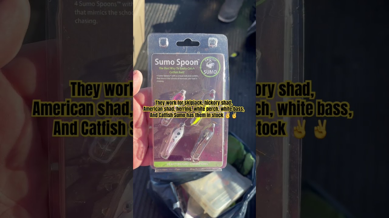 @CatfishSumo Sumo Spoon works for Skipjack, hickory shad, perch, n tons of minnow chasing species