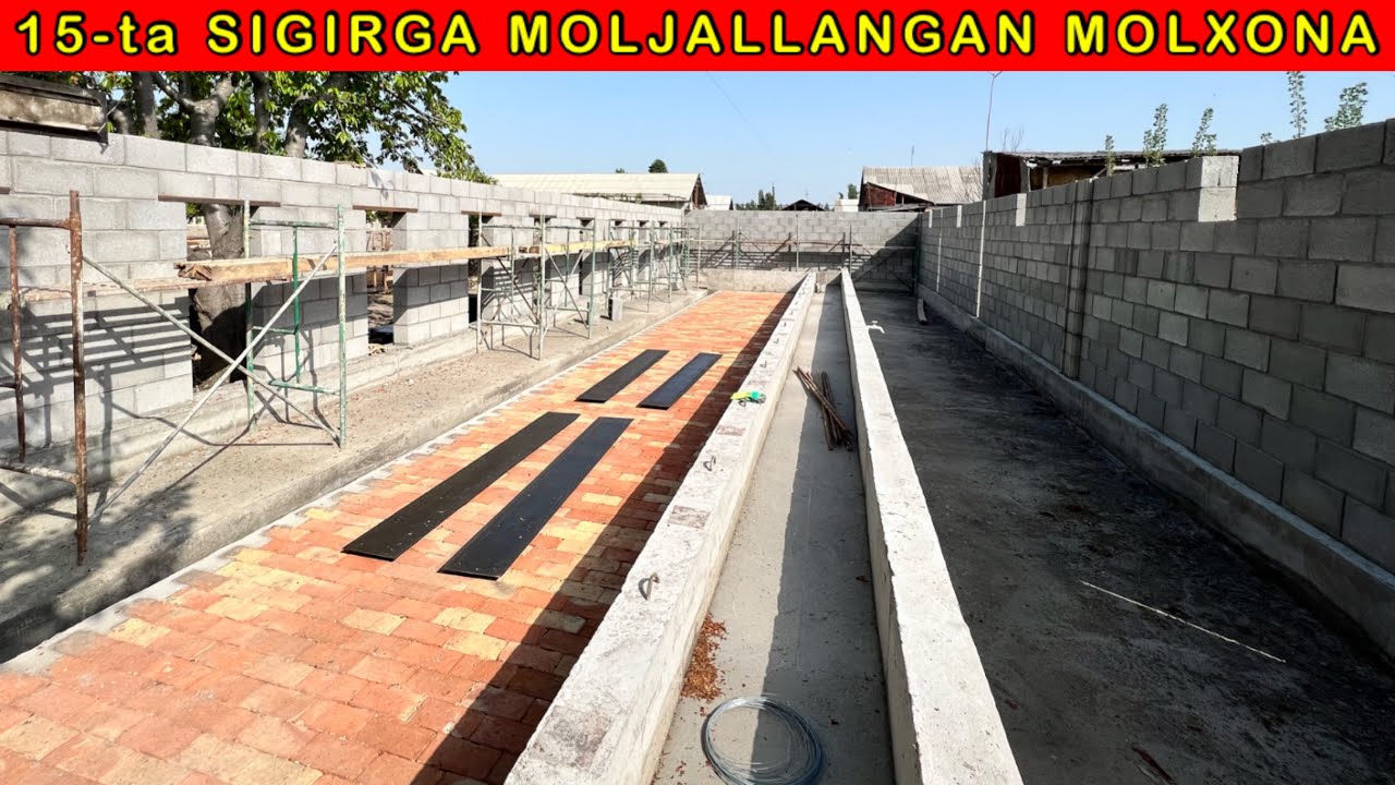 Xaligi MOLXONA bitish arafasida. Ozingiz baxo berib Layk bosib qoying
