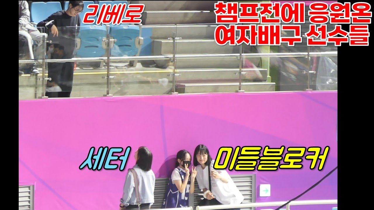 챔프전에 깜짝 방문한 여자배구 선수들 OO? XX? $$? [여자배구직캠]