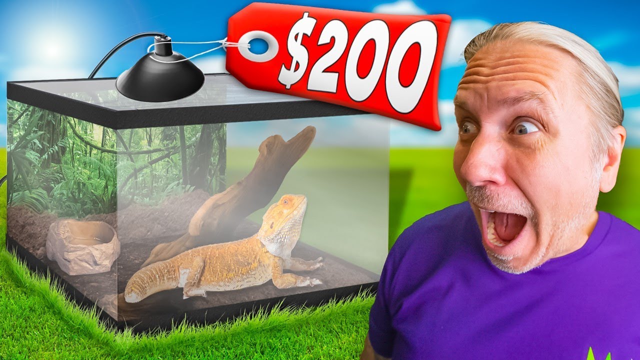 Best Bearded Dragon Cage For Under $200!