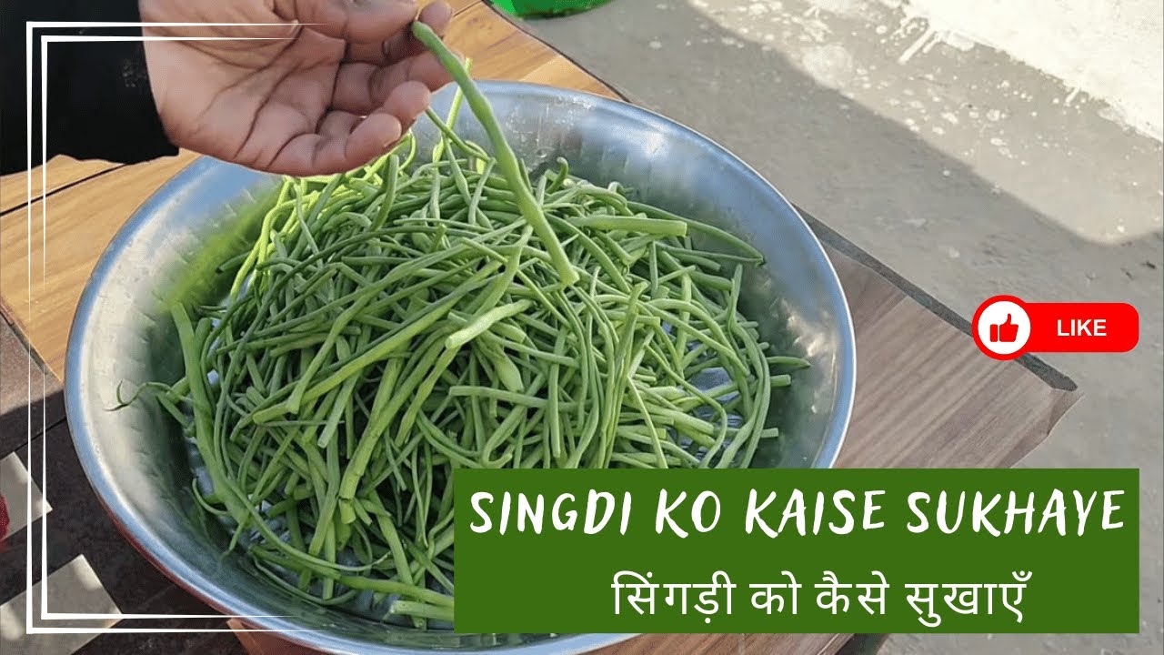 Singdi Kaise Banaye | Winter Recipe Mooli Ki Phalli | Sangri Ko Kaise Sukhaye