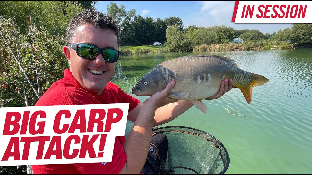 Catch More Carp On Commercials