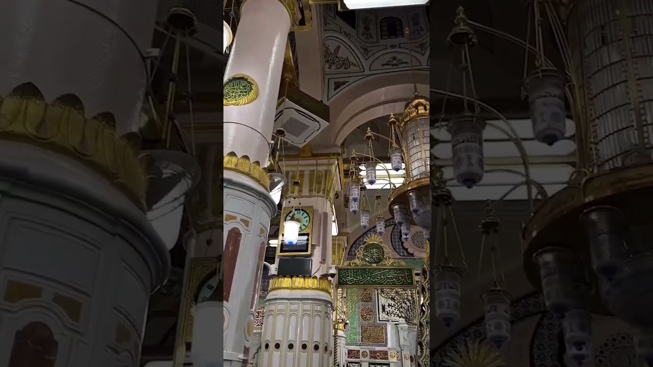 Исламские шорты, в существование которых вы не поверите! Исламские шорты, изобилие исламских шорт...