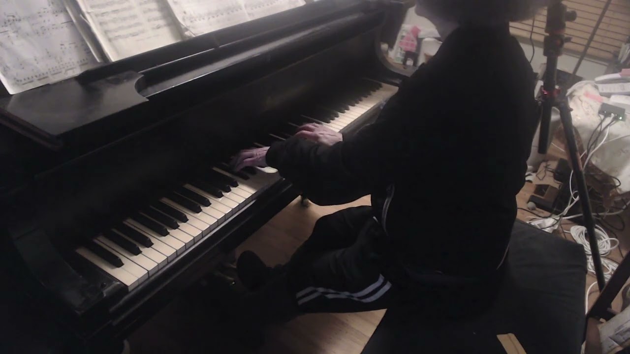 (HD) Friedrich Burgmuller,  The Swallow, Op. 100, No. 24