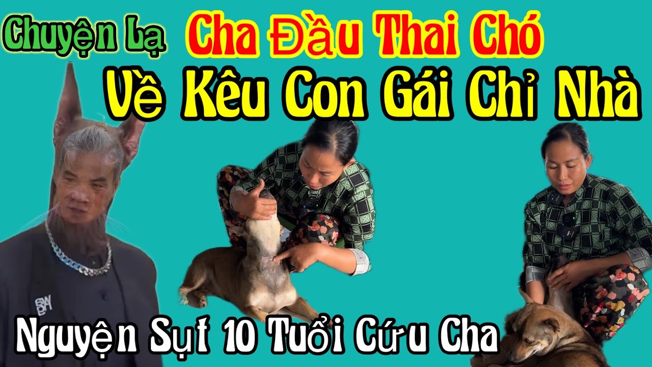 Chuyện Lạ 🛑 Cha Đầu Thai Chó về kêu con gái chỉ nhà ( Nguyện Giảm Thọ 10 Tuổi Cứu Cha | Châu Phú