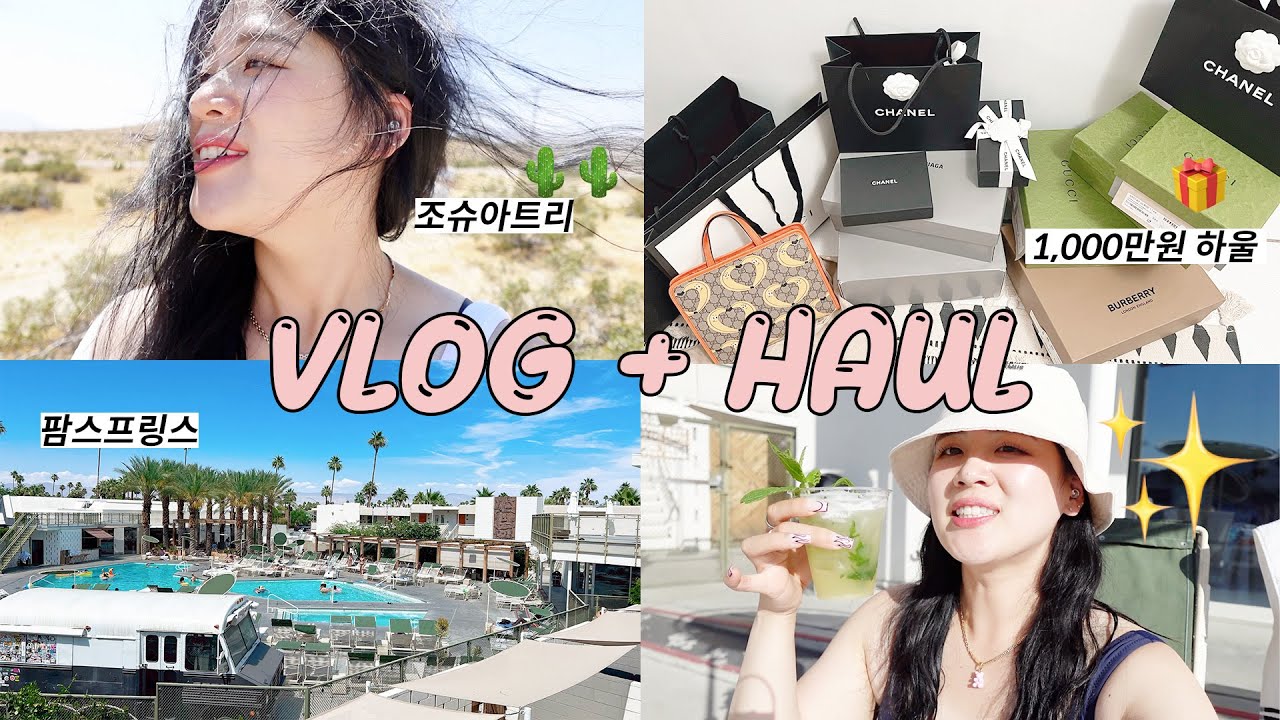 🇺🇸🌴 미국3달살기 I 브이로그 + 명품 잔뜩 하울 🎁💖 I 조슈아트리, 팜스프링스 여행, 데저트힐아울렛쇼핑, 1000만원 명품 하울