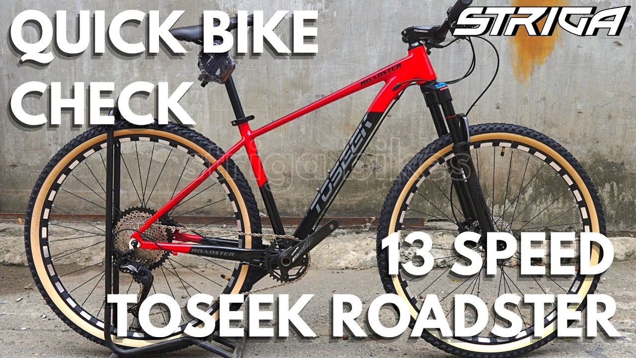 TOSEEK ROADSTER MTB | 13-Speed + AirFork + Hollowtech, below 17k only?! | Quick Specs, Colors, Price