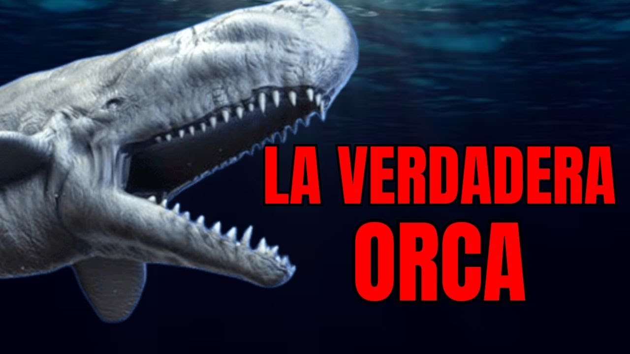 Livyatan melvillei: La Verdadera Orca del Infierno Prehistórico