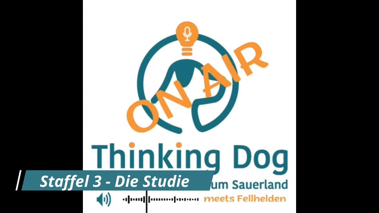 Staffel 3 - Die Assistenzhundestudie im Überblick