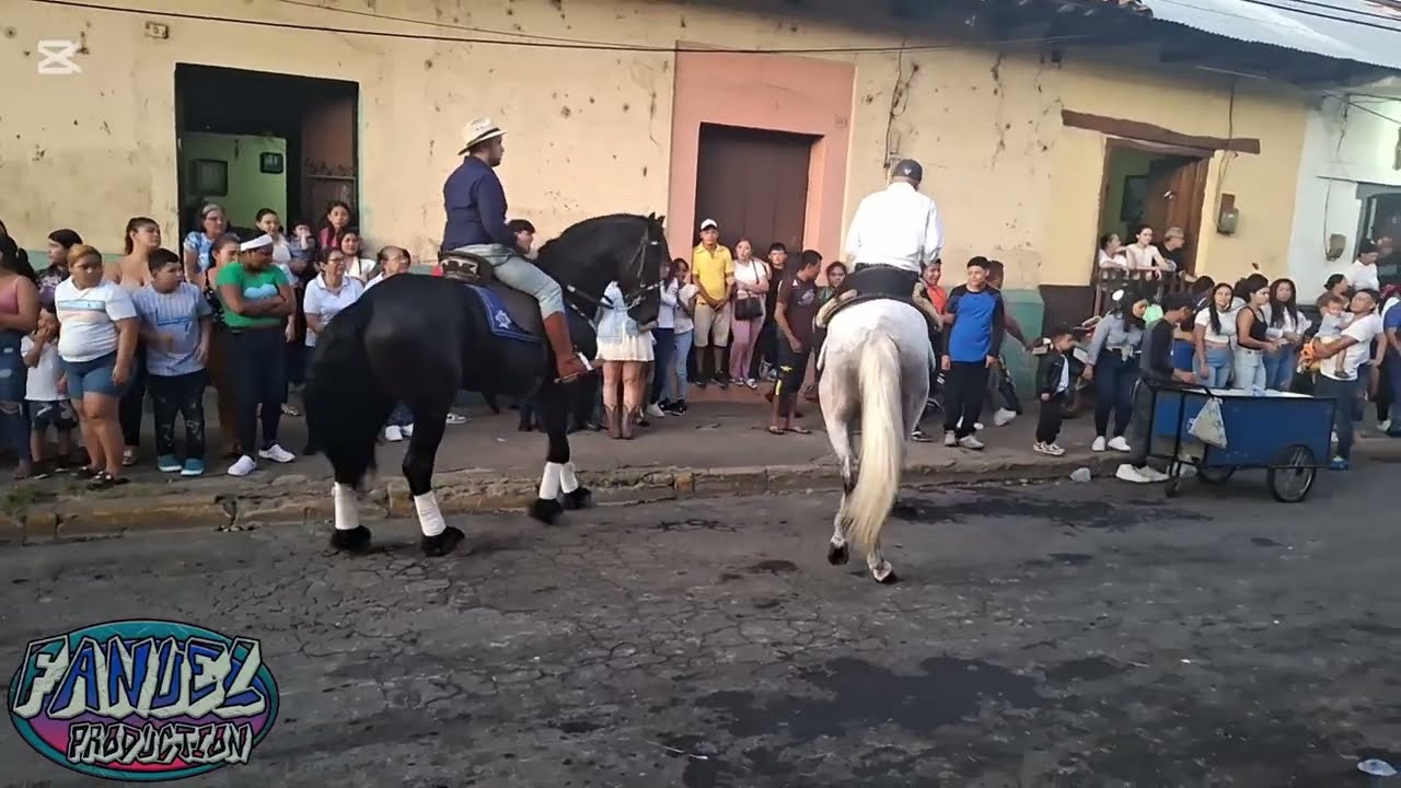 DESFILE HIPICO LEÓN NICARAGUA NOVIEMBRE 2024