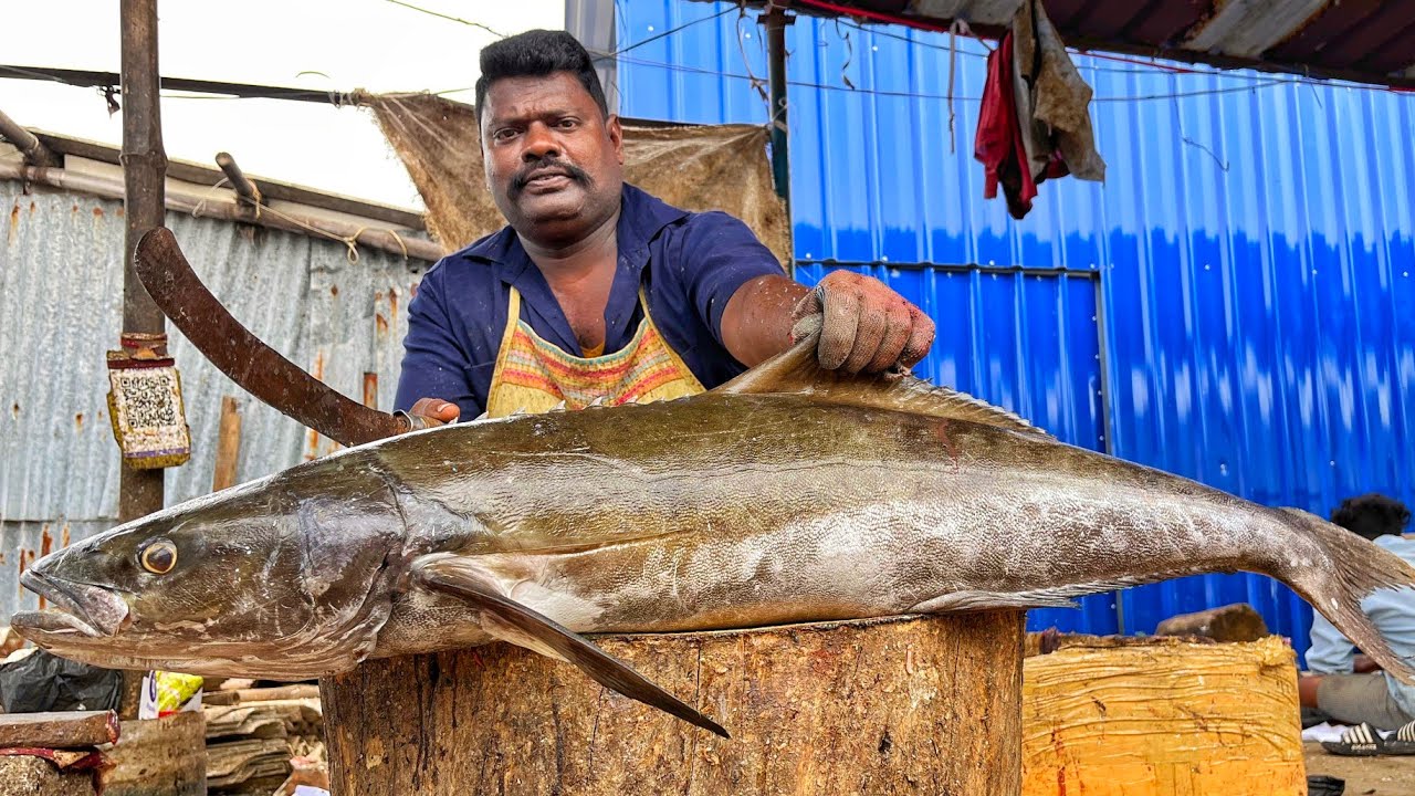 KASIMEDU  SPEED SELVAM | BIG SIZE COBIA FISH CUTTING VIDEO | 4K VIDEO | KM FISH CUTTING | INKASIMEDU