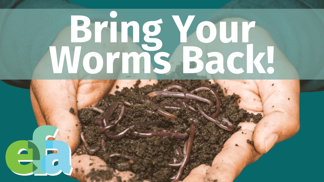The Secret to Bringing Worms Back to Soil