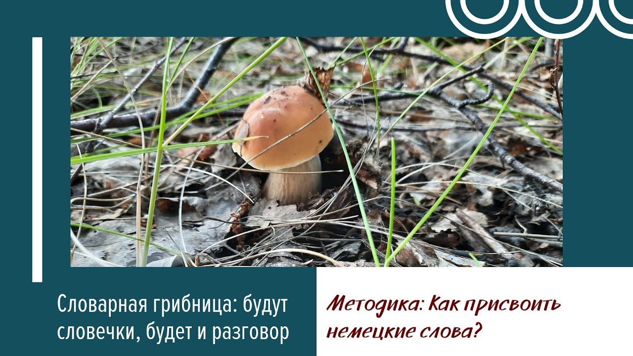Перестаньте забывать немецкие слова: найдите свой прием запоминания #Какучитьслова