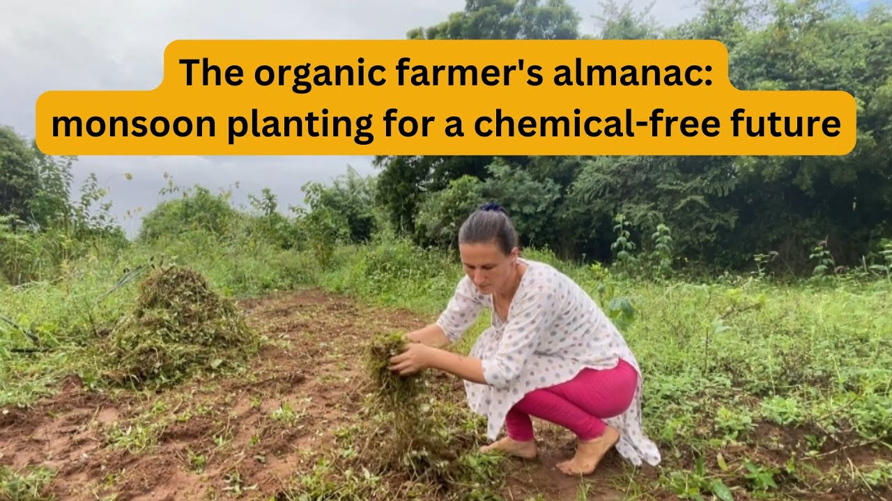 The green revolution: embracing natural farming during monsoon on our organic farm