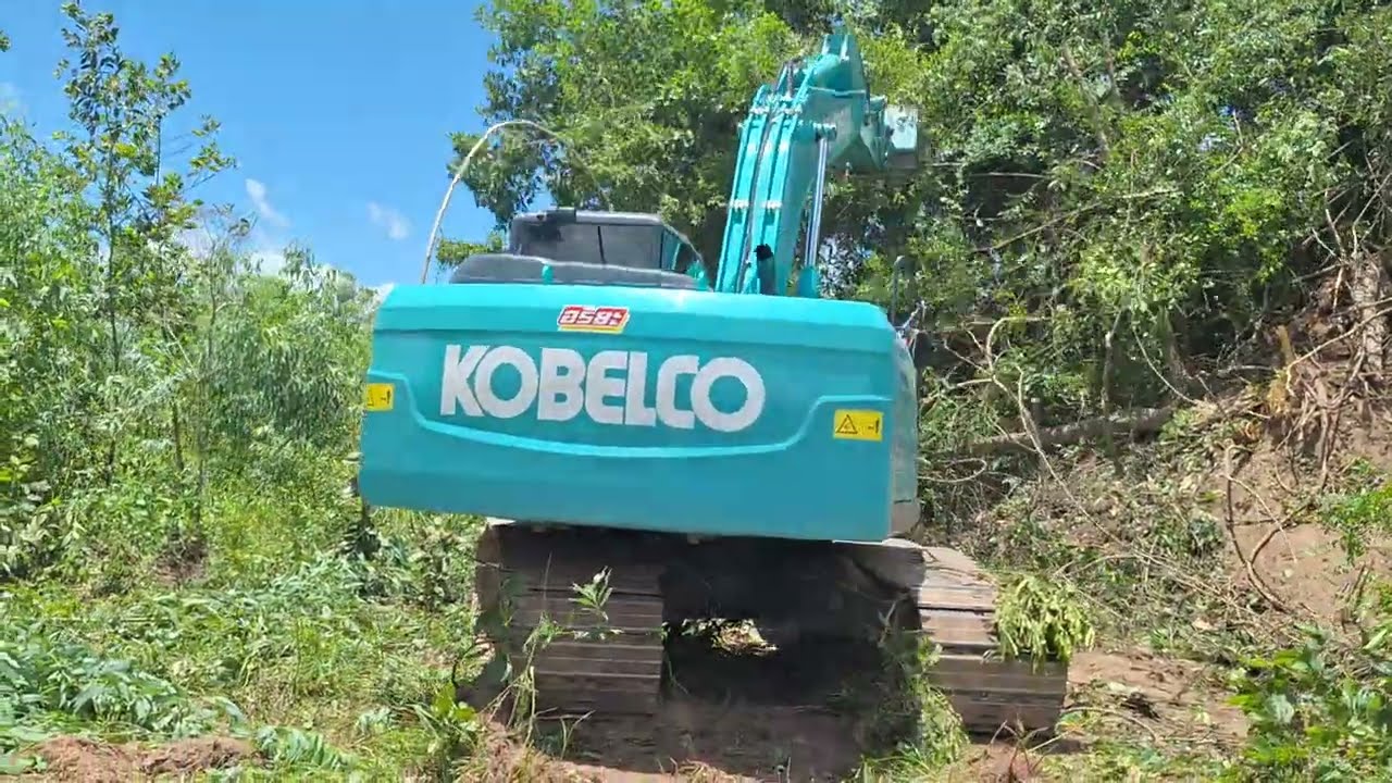 รีวิวงานเคลียริ่งป่า ตอยูคาลิปตัส kobelco sk200-sm จอมปลวกไร่ล่ะ 2000 ชมไปบ่นไป excavator