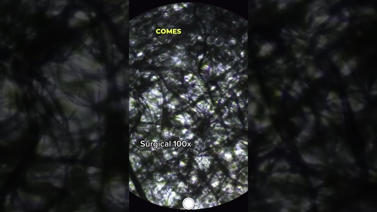 N95 VS Surgical Mask Under Microscope #microscopy #science #microscope