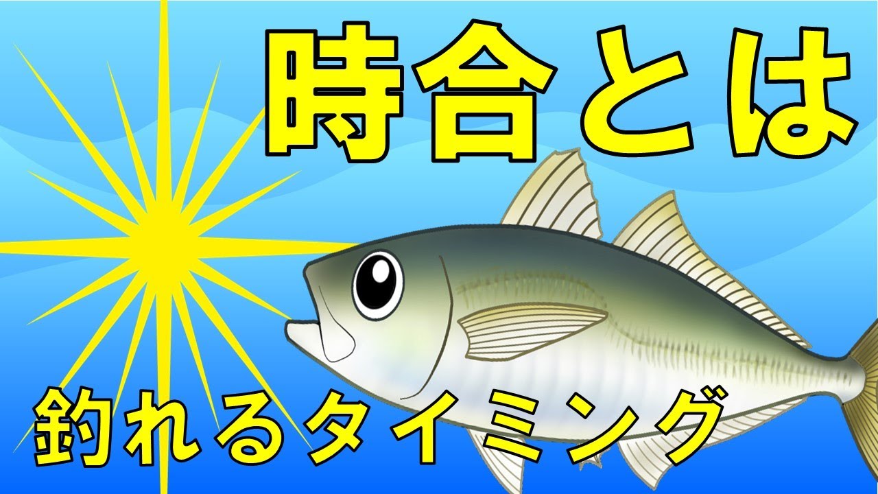 【時合】魚はいつエサを食べるのか