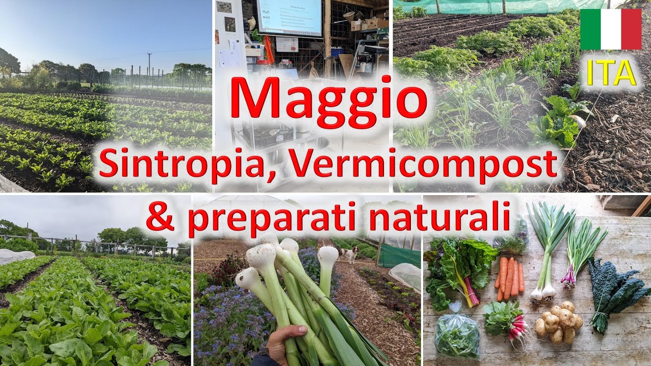 Tour di Maggio: sintropia e ortaggi, vermicompost e preparati naturali