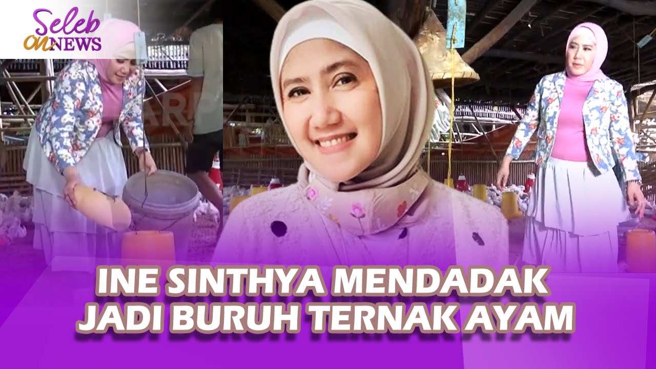 Mendadak Jadi Buruh Ternak Ayam, Ine Sinthya Malah Jadi Nostalgia Bareng Warga - Seleb On News