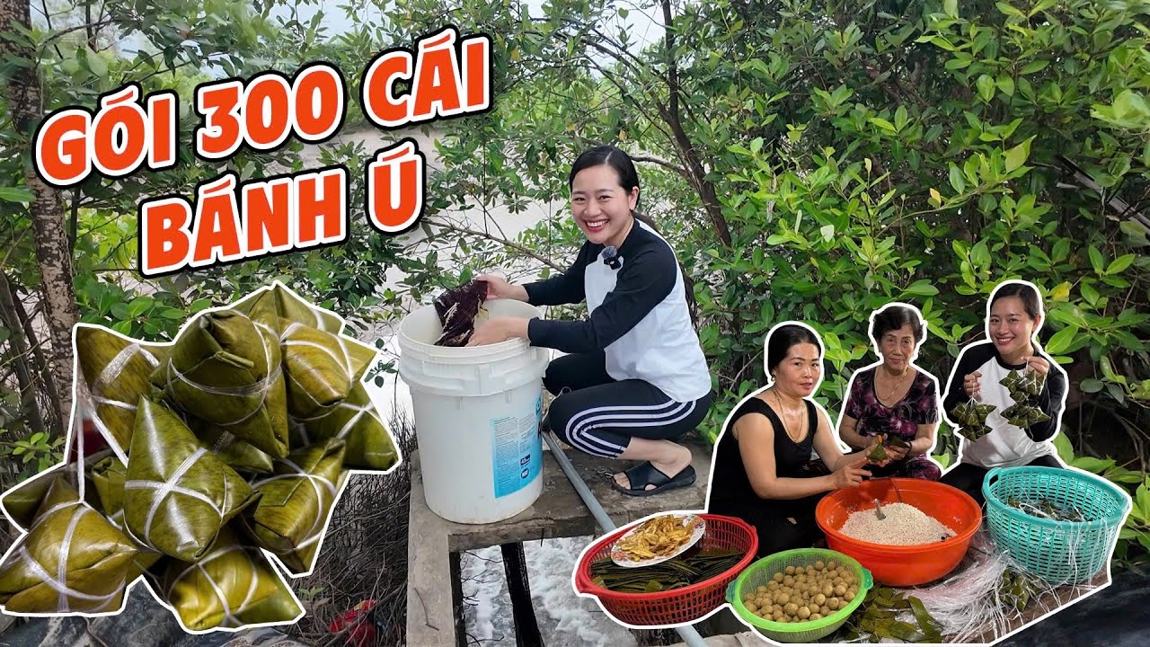 Đặt gói 300 Bánh Ú bằng lá chuối tặng nhân viên ở quê và Sài Gòn | ÁNH KUA