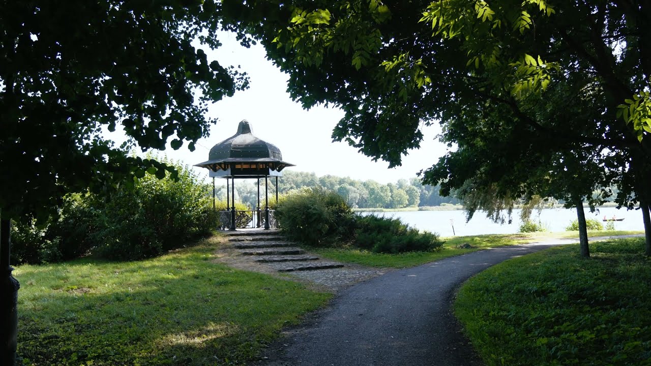 Cinema Paradiso music theme | enchanting flute cover