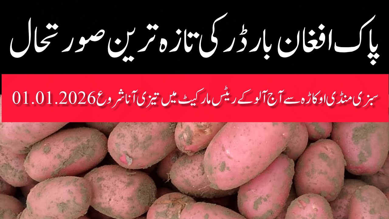 Latest status of Pak-Afghan border Vegetable Market Okara Potato Today Rates 01.01.2026