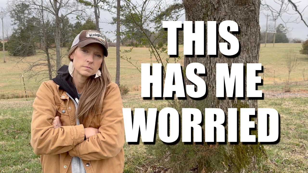 Вы понятия не имеете, что вас ждёт // Необходимость срочно подготовиться