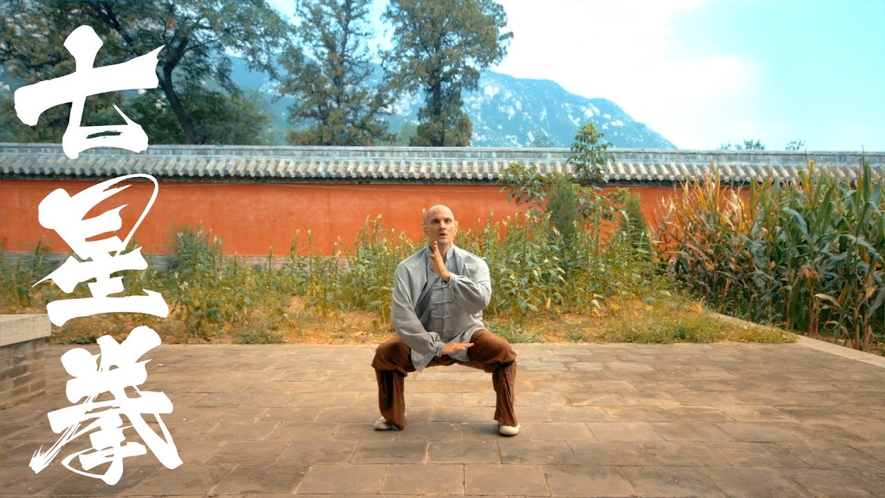 Qixing Quan - Dragon Shape