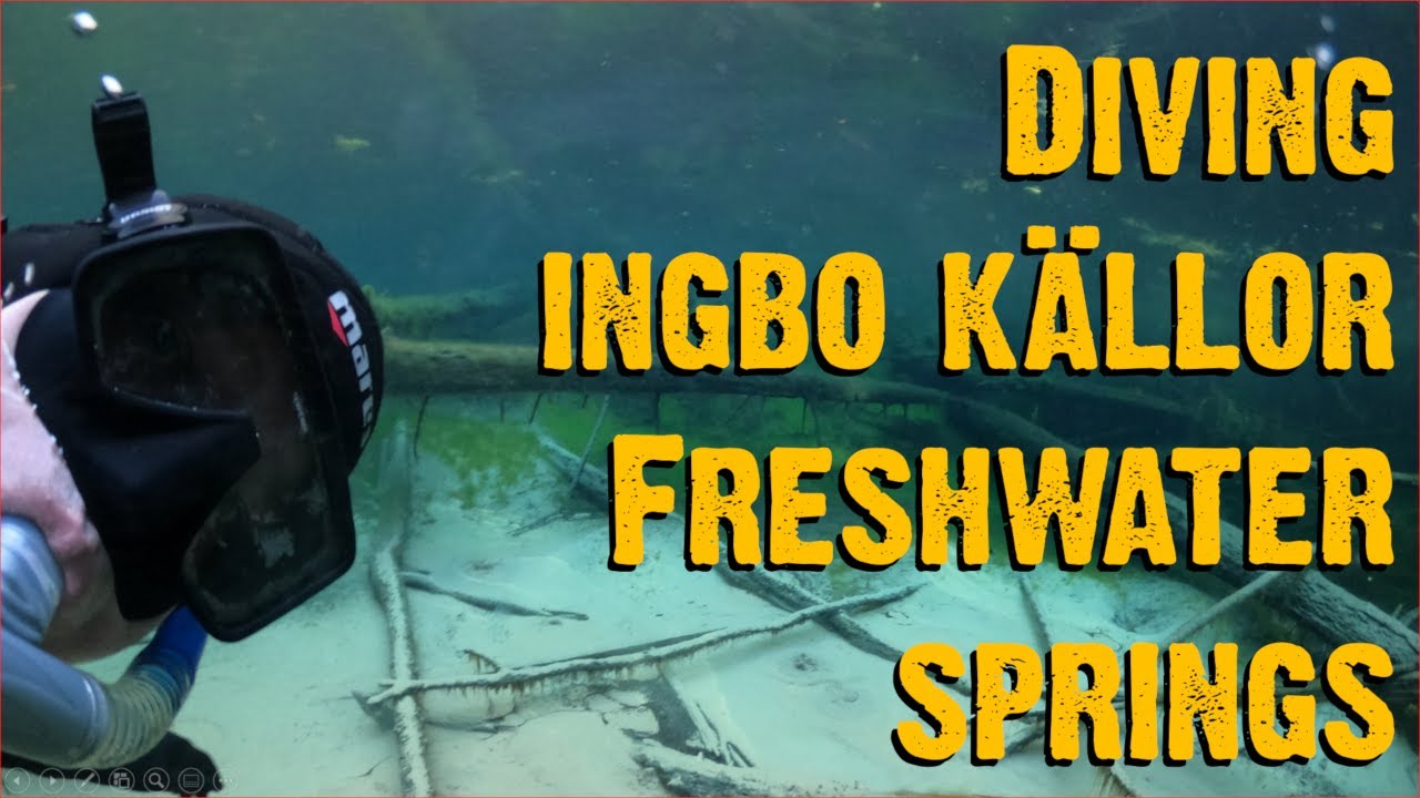 Diving Ingbo Källor freshwater springs - Video 39 - In the wild with Chris