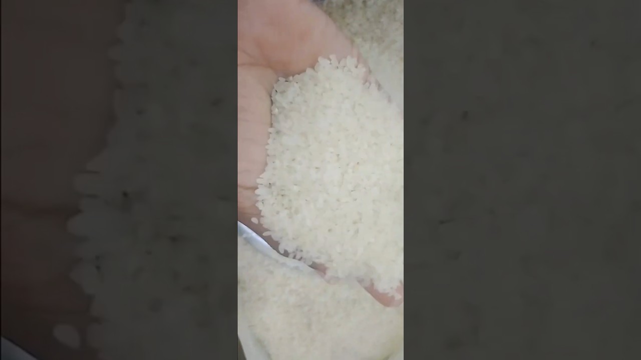 raw rice ASMR🌾💝 