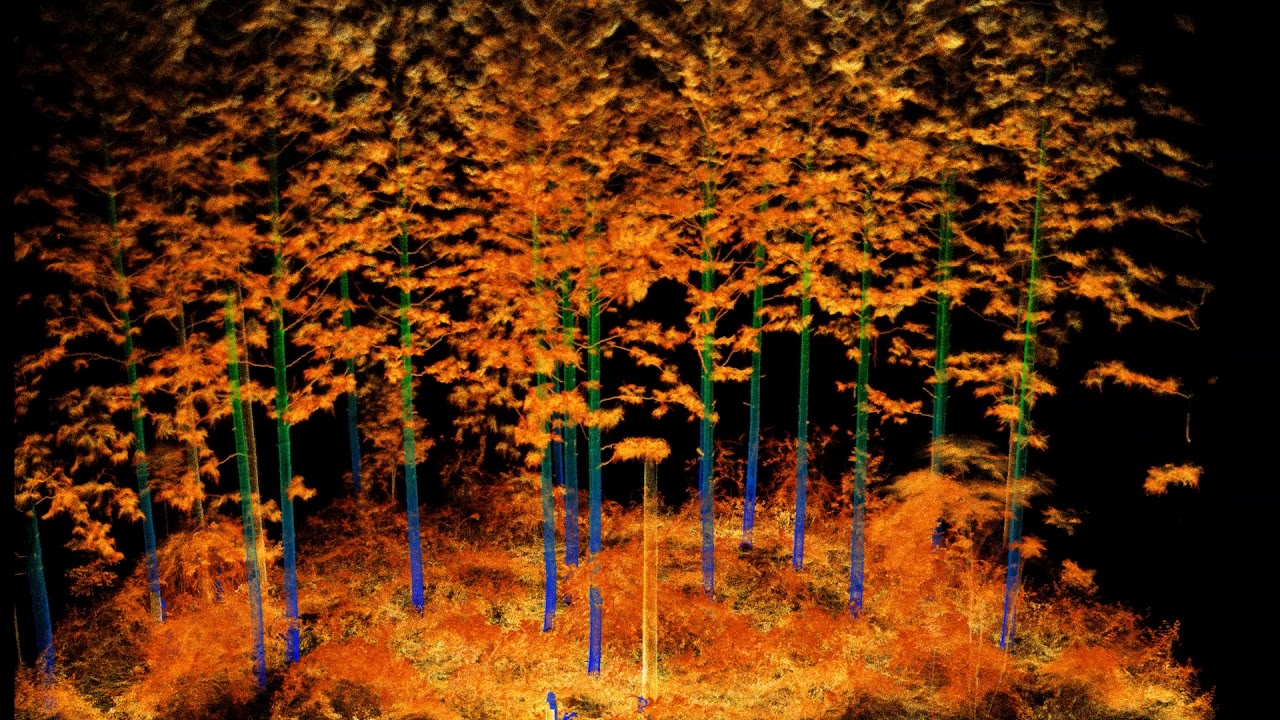 Innovation in Forest Inventory using Ultra-dense LiDAR