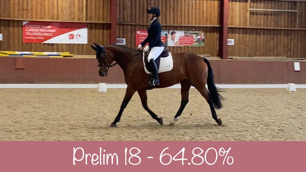 Unaffiliated BD Prelim 18 Dressage Test - 64.80%