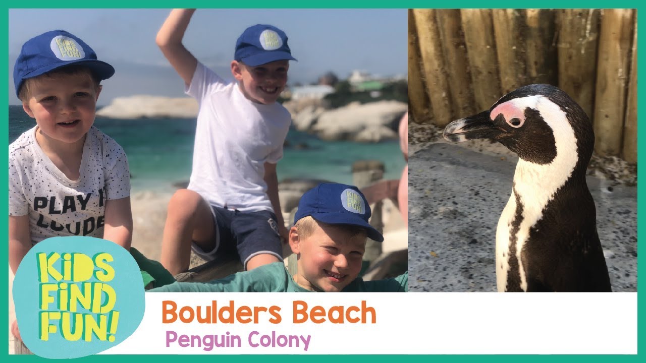 Boulders Beach &ndash; Kids Find Fun with Penguins at Boulders Beach (Episode 17)