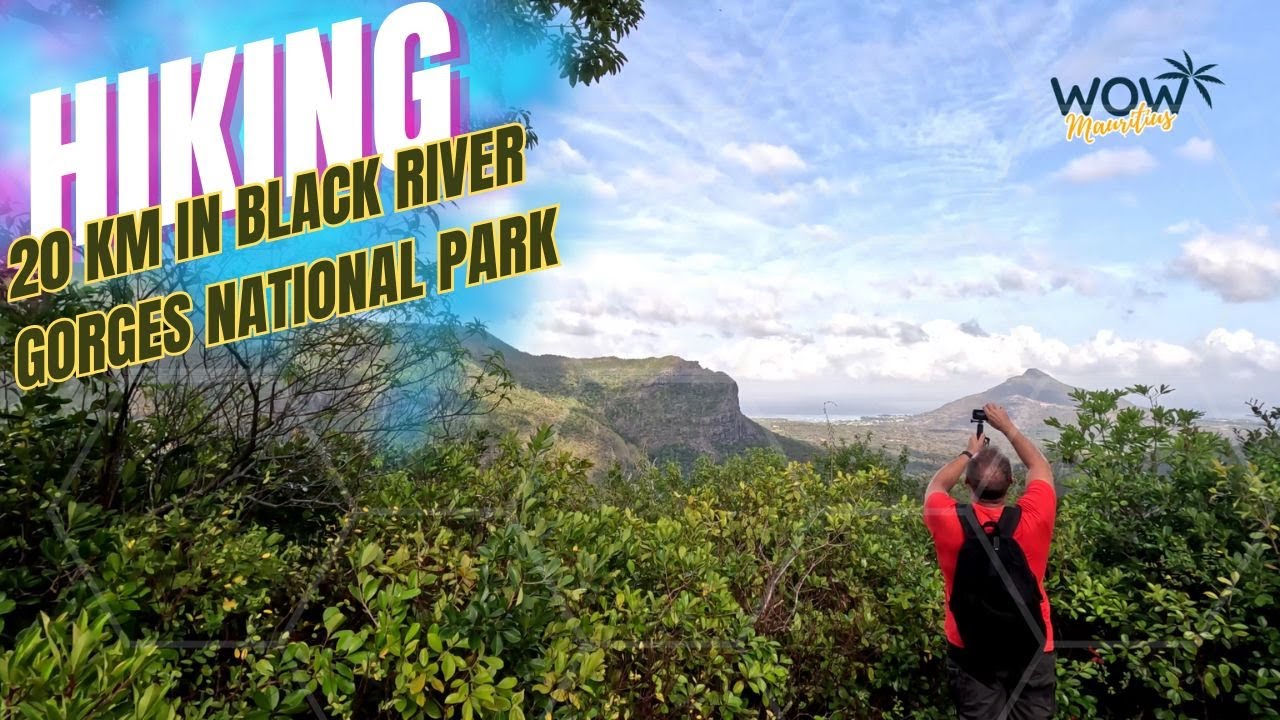 20 km hiking in Black River Gorges National Park (Pilgrim, Machabée, Parakeet, and Colophanne Trails