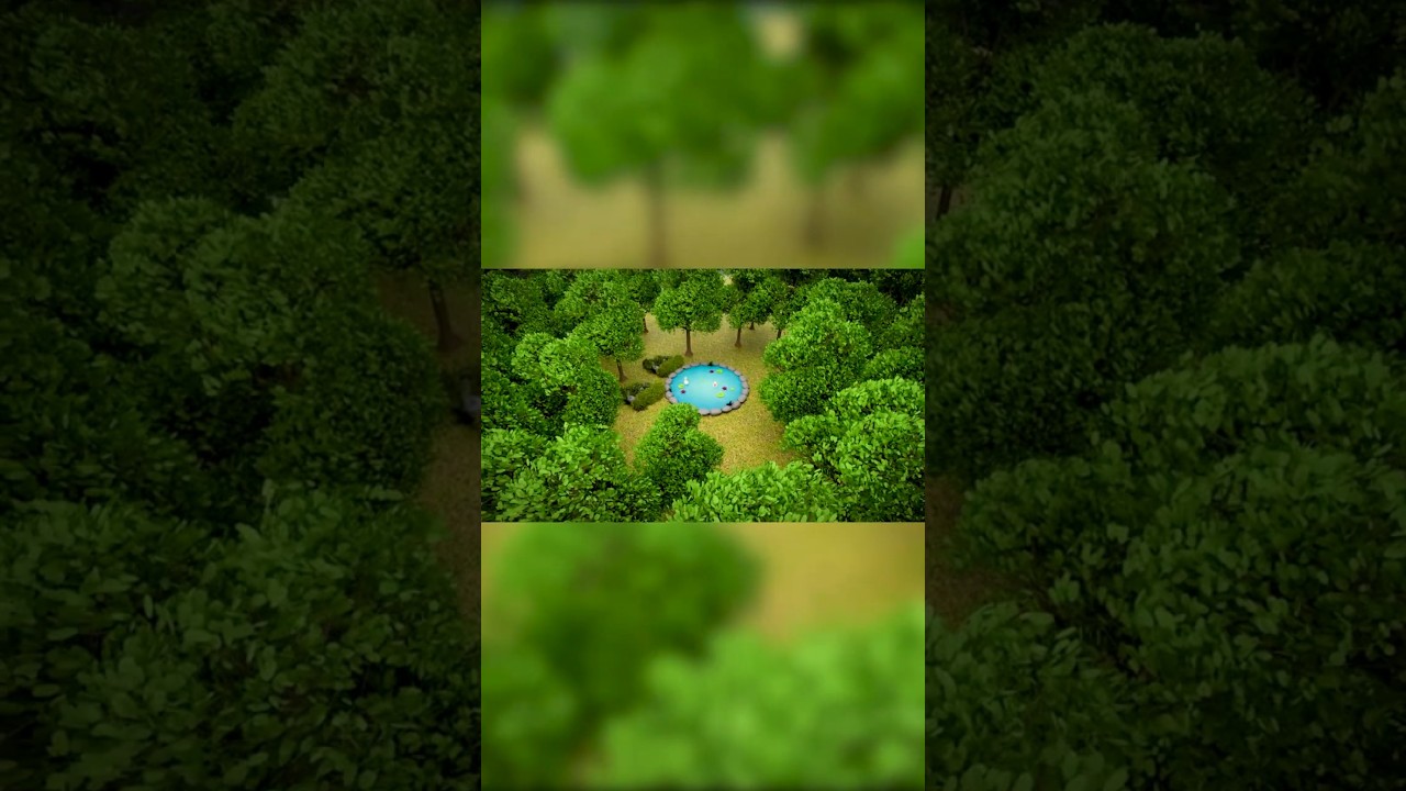 Serene Forest Pond with Ducks | 3D Blender Scene. #shorts #blender