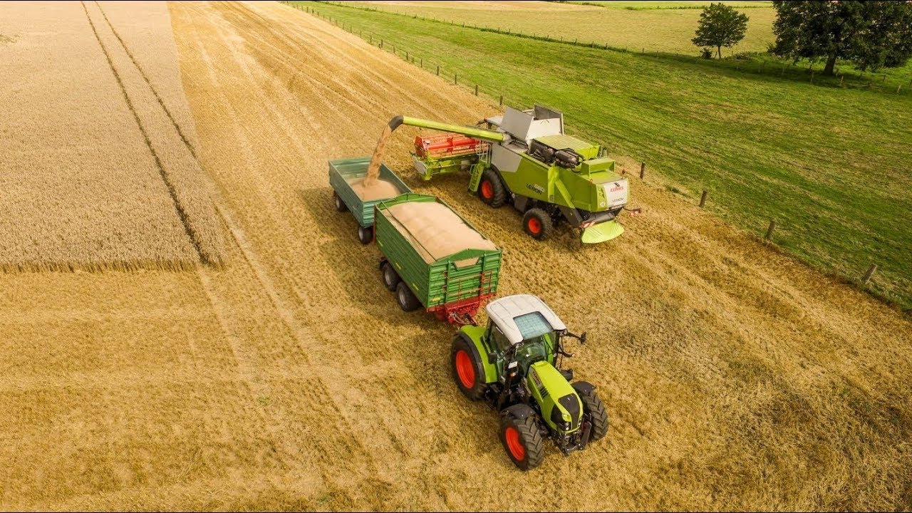 Weizenernte 2017 | Claas Lexion 660 | Arion 460 | 640 | Wheat Harvest