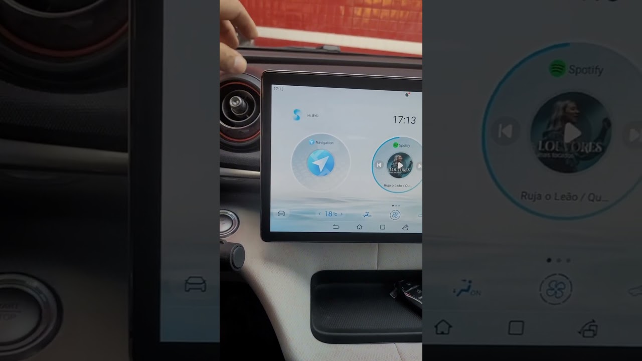 como funciona a Internet do byd dolphin