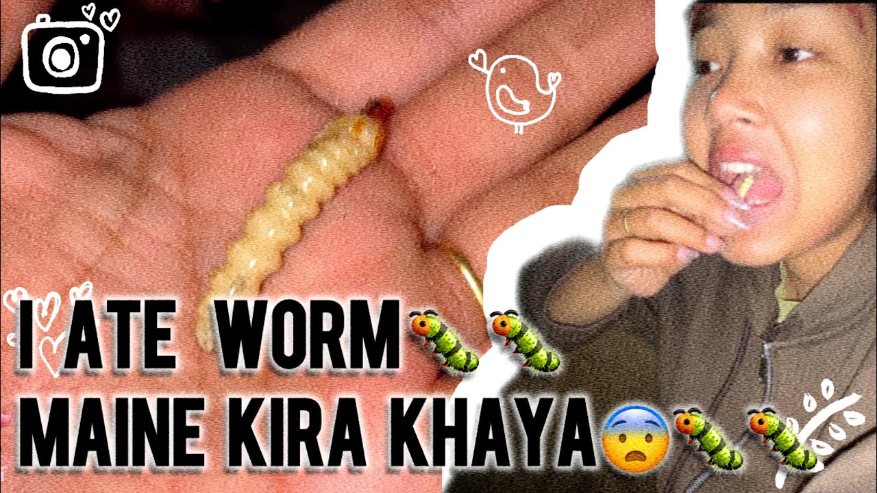 Kya apne kabhi kira khaya? #arunachalpradesh #northeastindia #villagerlifestyle 
