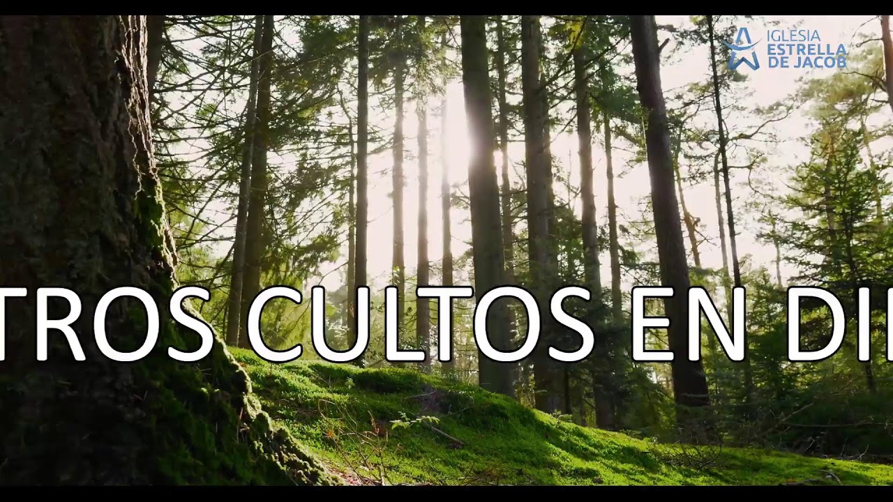 Tiempo de Adoración - Música Cristiana para conectar con Dios