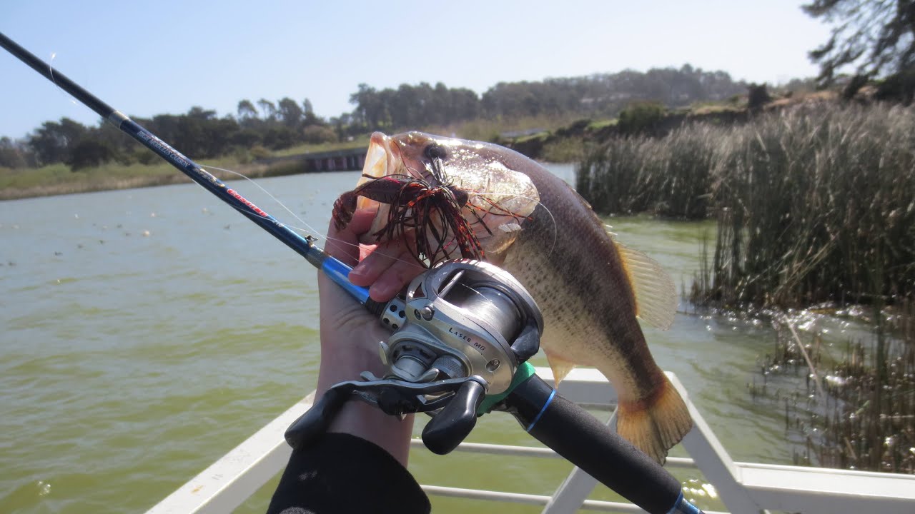 Bay Area Spring Bass Fishing | Lake Merced, SF