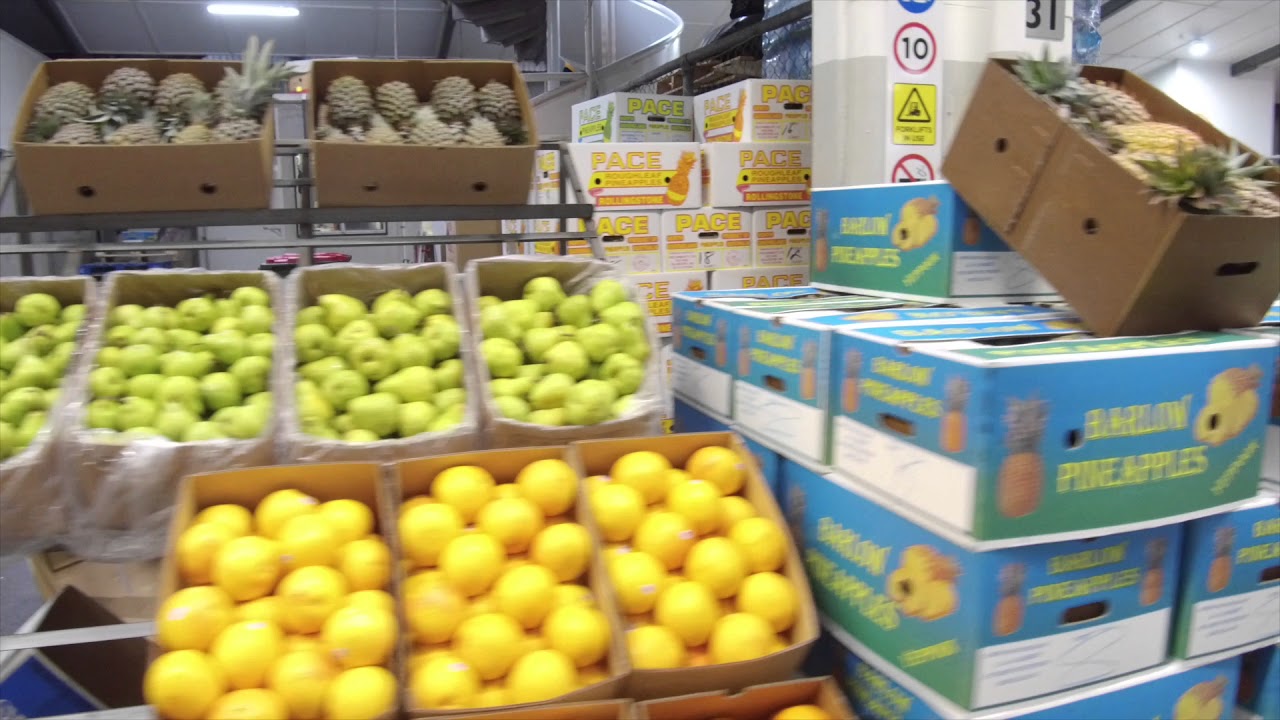 Rocklea | What Happens Behind the Scenes at the Brisbane Produce Market?