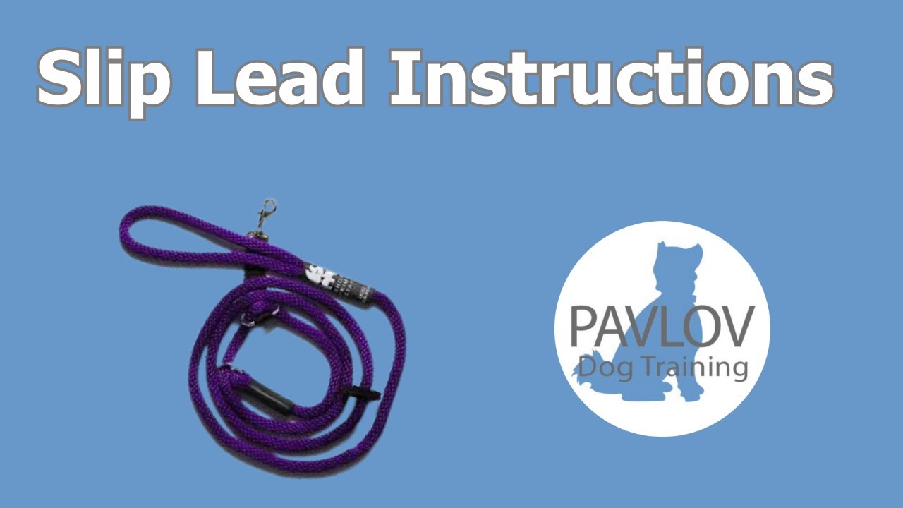 Slip Lead Instructions