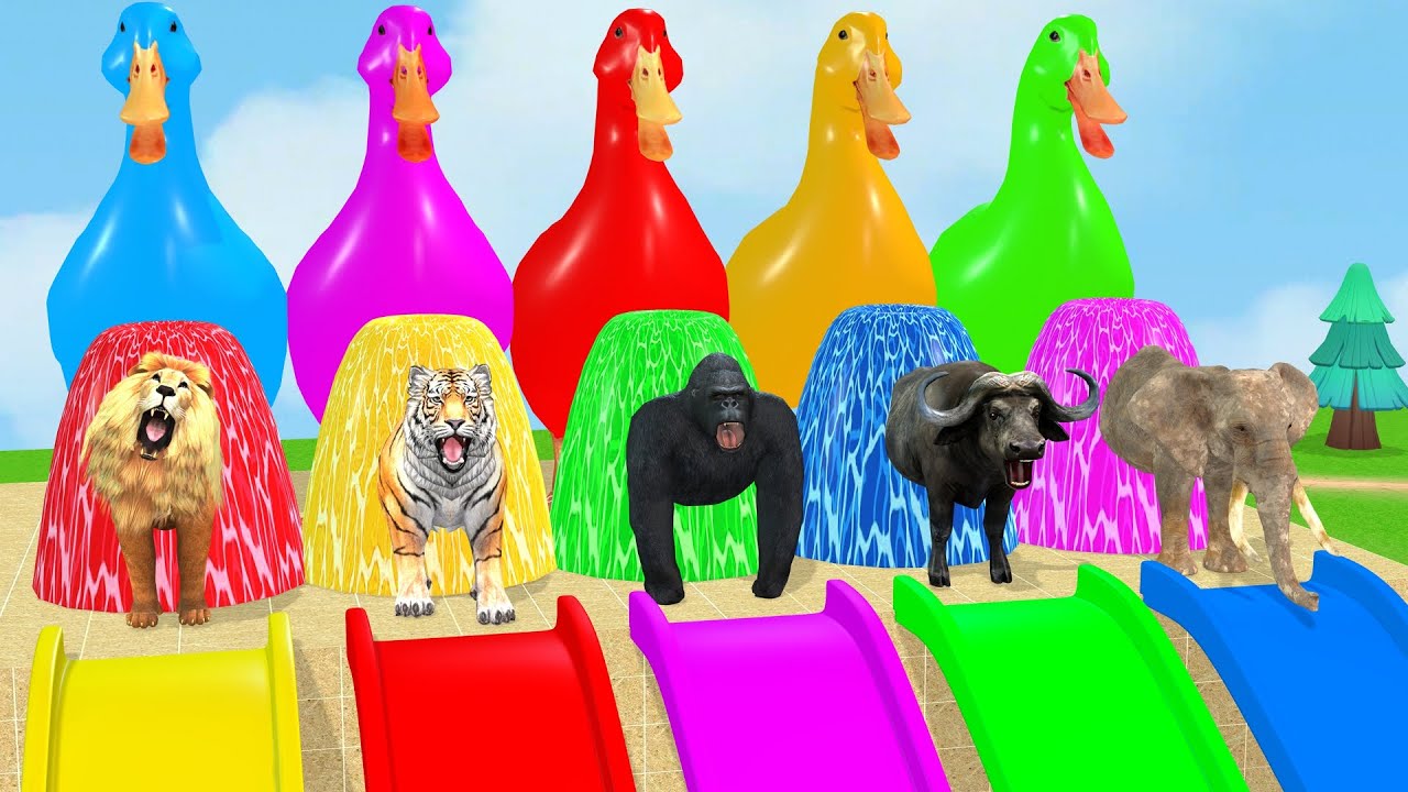 Long Slide Game With Cow Elephant Gorilla Hippopotamus Tiger 3d Animal Game Funny 3d Animals